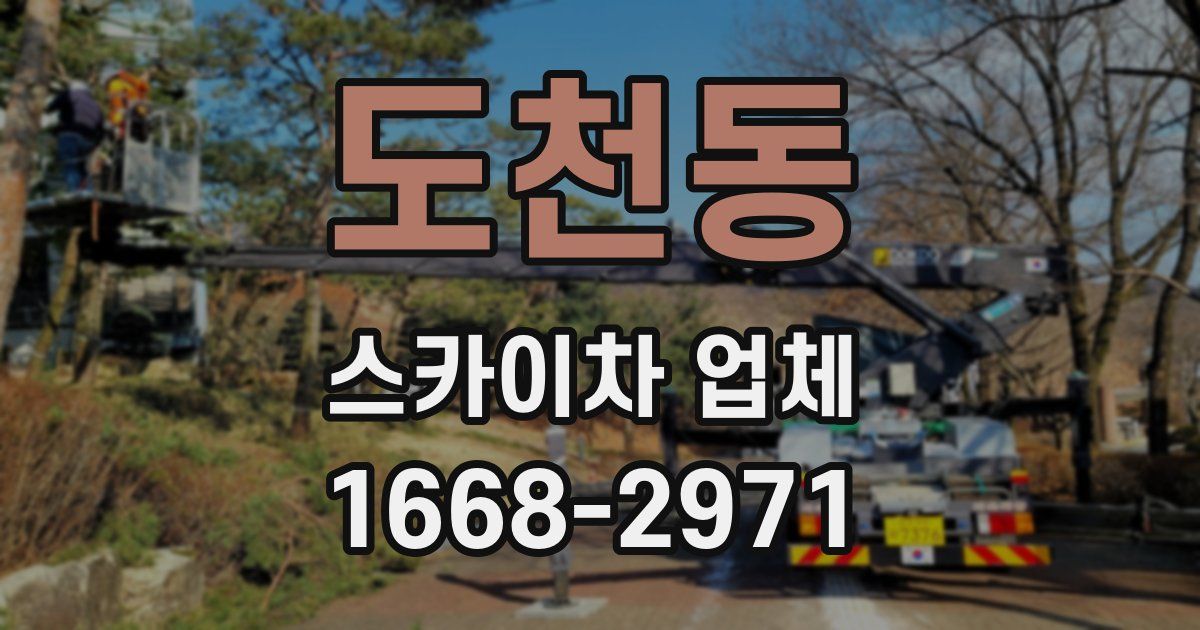 도천동 스카이차 업체