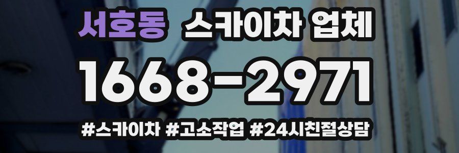 서호동 스카이차 업체