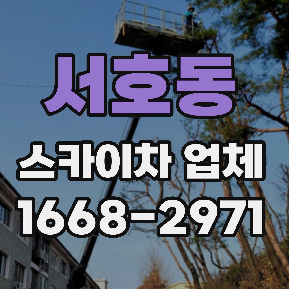 서호동 스카이차 업체