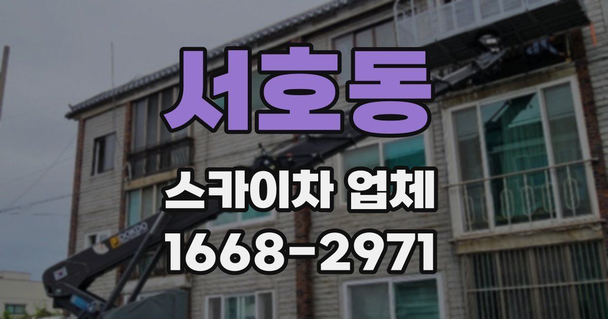 서호동 스카이차 업체