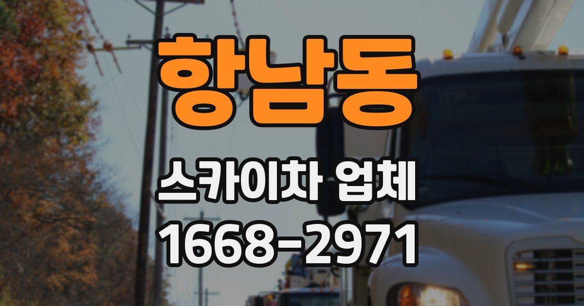 항남동 스카이차 업체