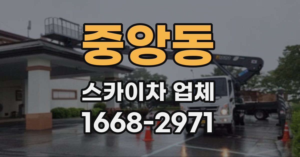 중앙동 스카이차 업체