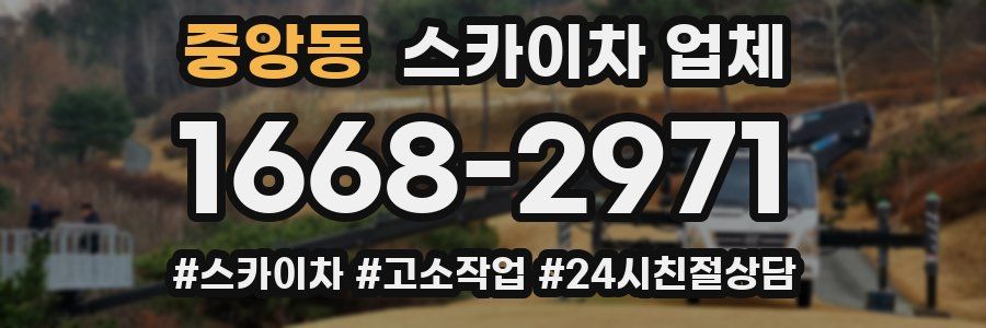 중앙동 스카이차 업체