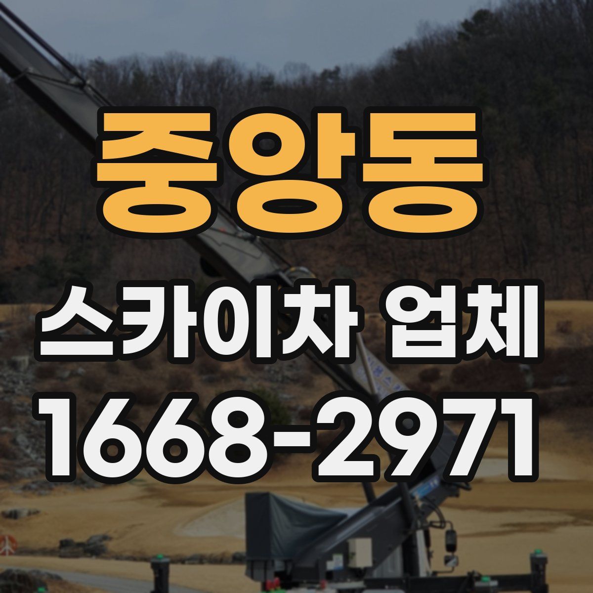 중앙동 스카이차 업체