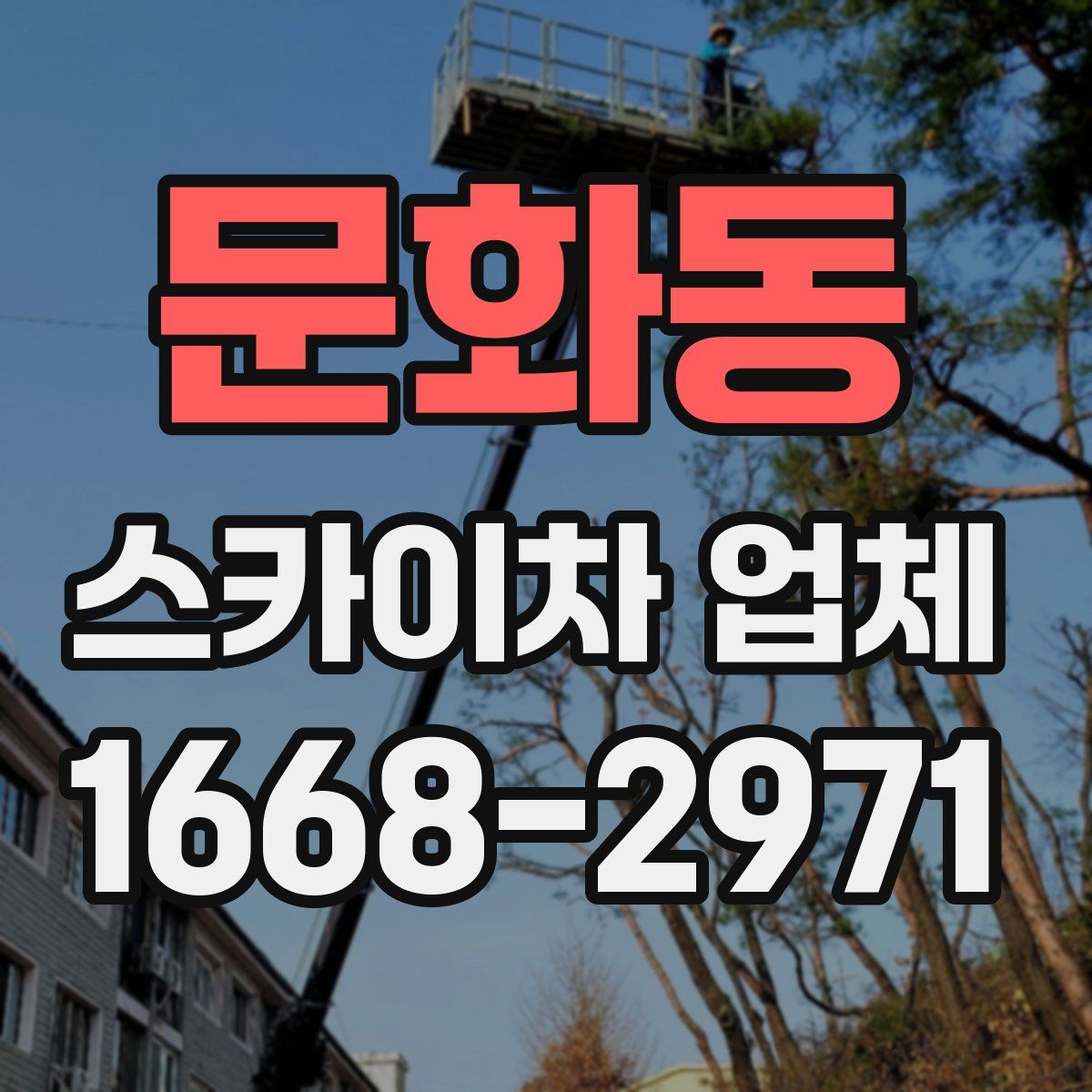 문화동 스카이차 업체