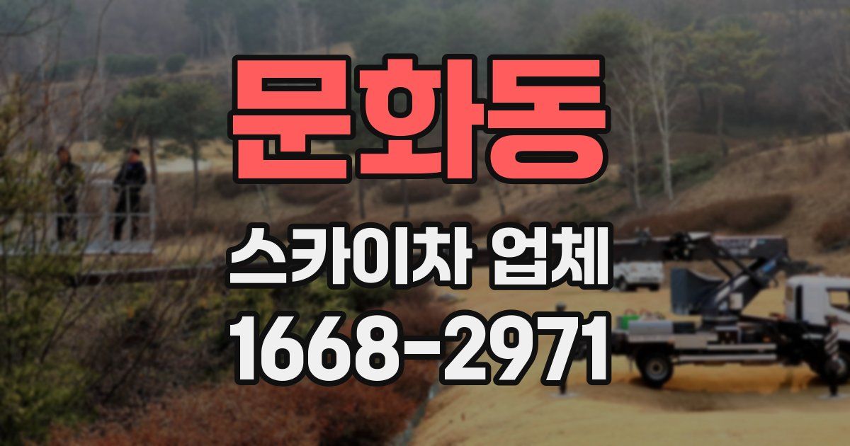 문화동 스카이차 업체