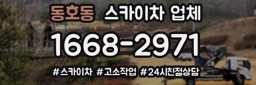 동호동 스카이차 업체