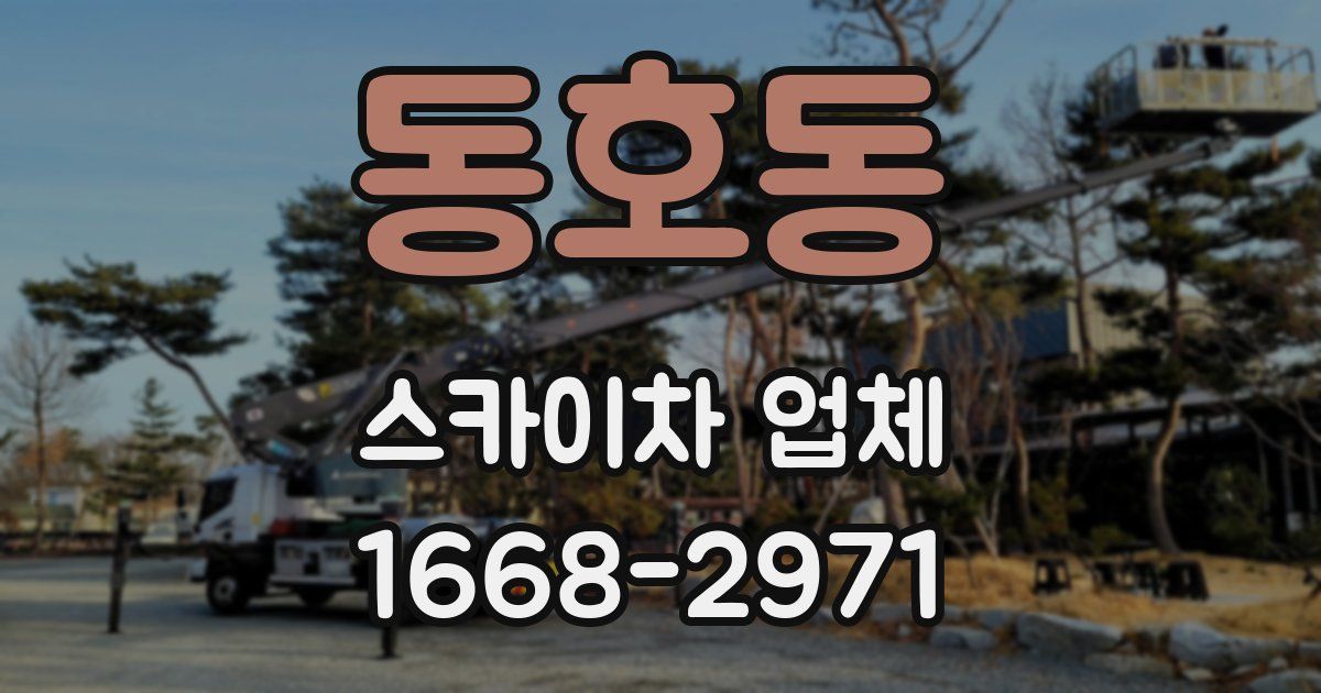 동호동 스카이차 업체