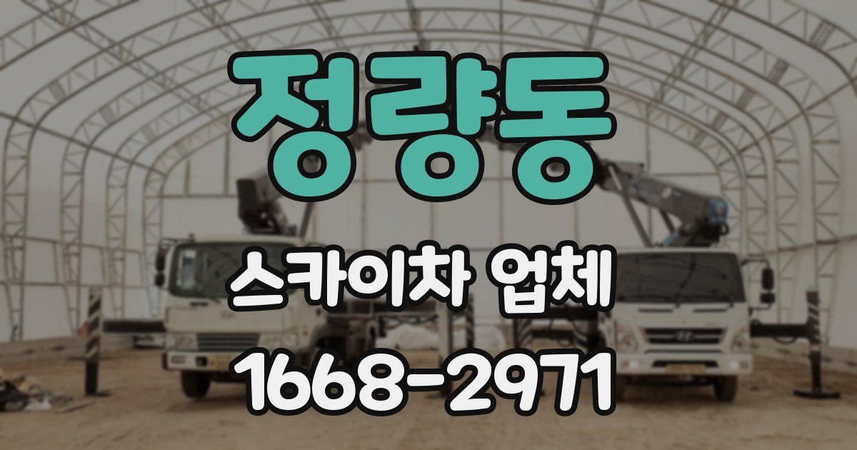 정량동 스카이차 업체