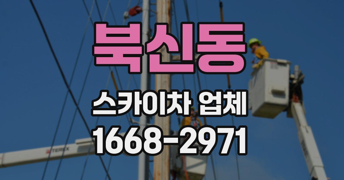 북신동 스카이차 업체