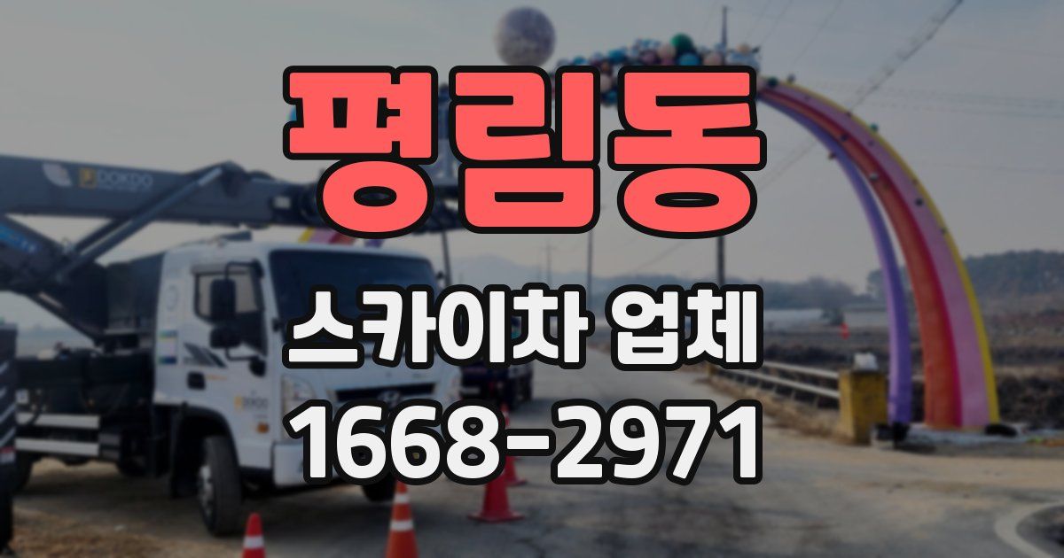 평림동 스카이차 업체