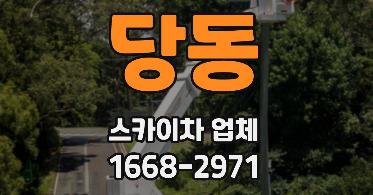 당동 스카이차 업체