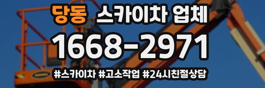당동 스카이차 업체