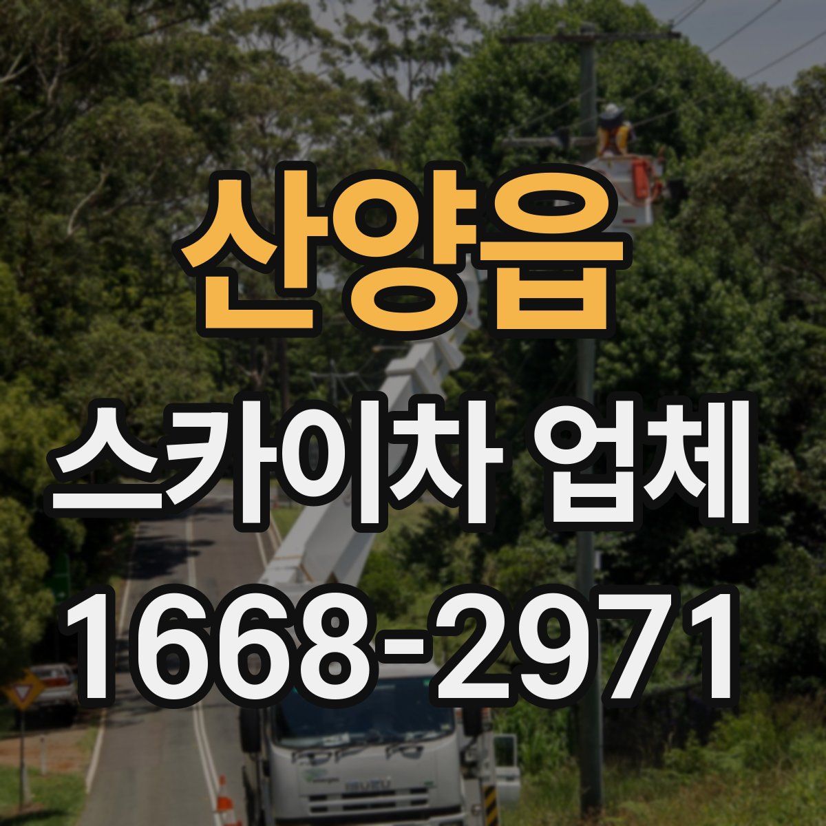 산양읍 스카이차 업체