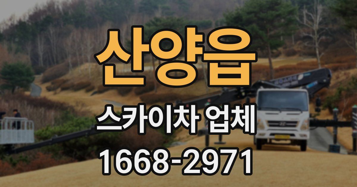 산양읍 스카이차 업체
