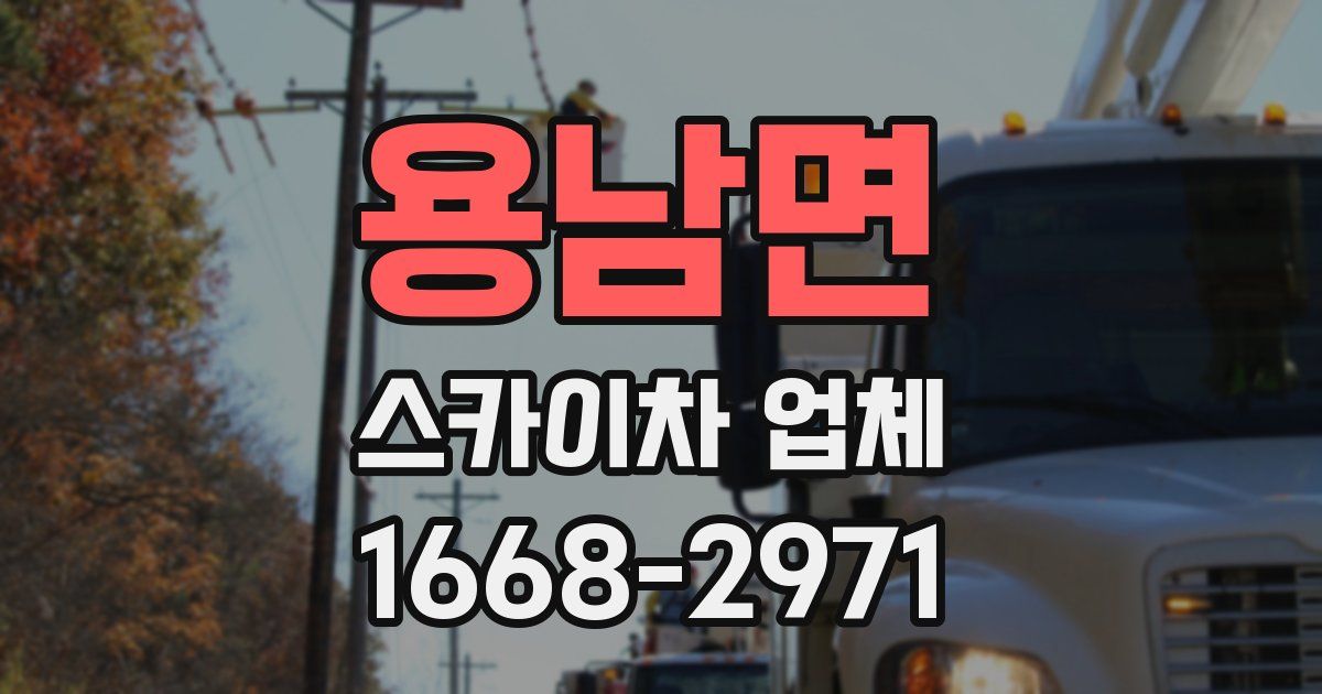 용남면 스카이차 업체