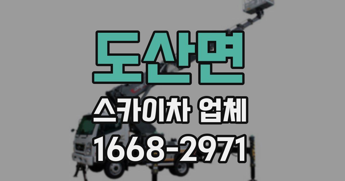 도산면 스카이차 업체