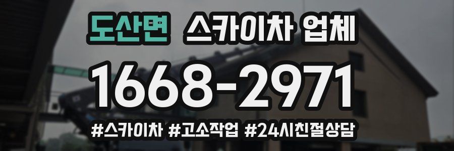 도산면 스카이차 업체