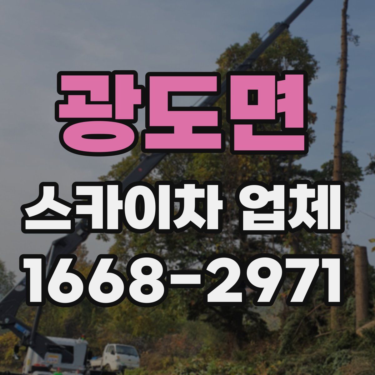광도면 스카이차 업체