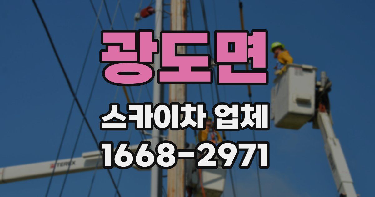 광도면 스카이차 업체