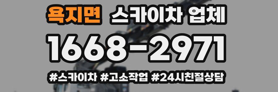 욕지면 스카이차 업체