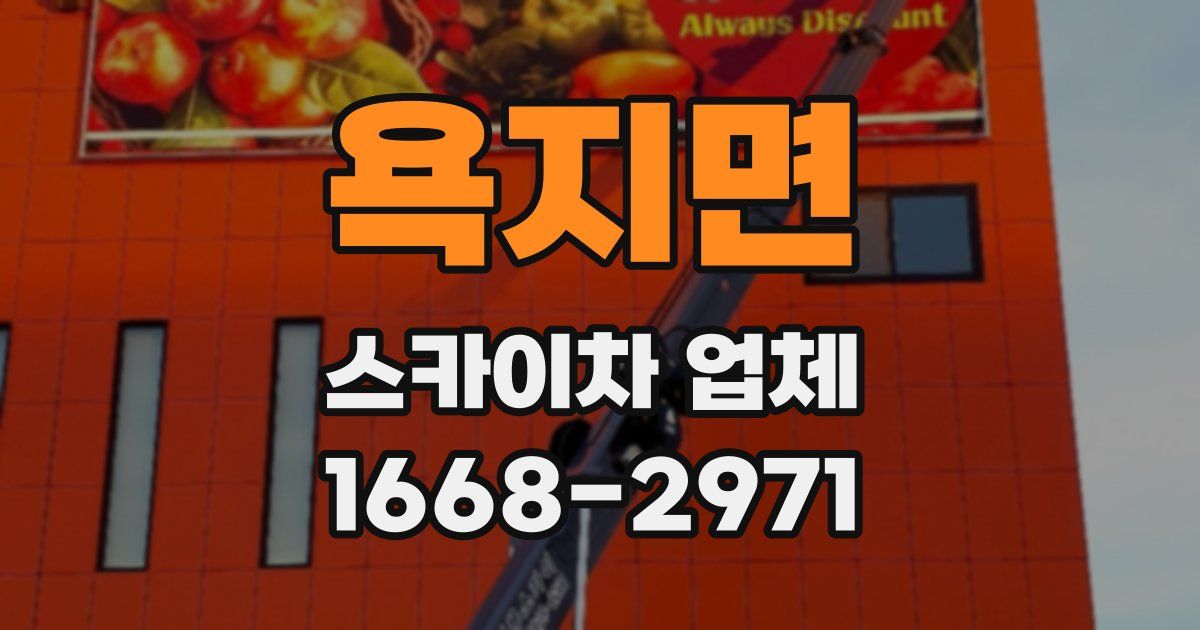 욕지면 스카이차 업체