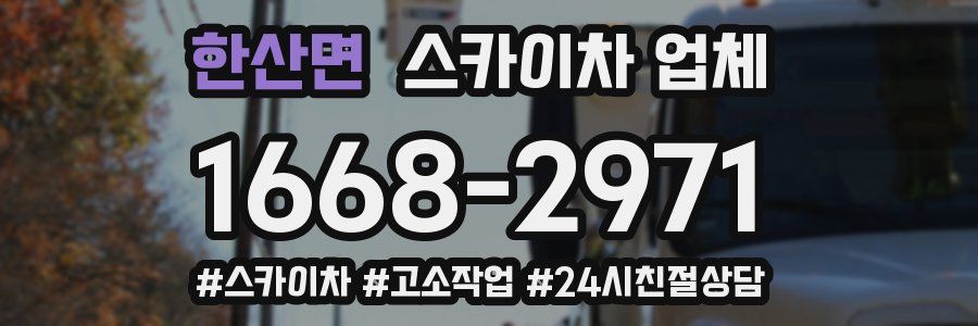 한산면 스카이차 업체