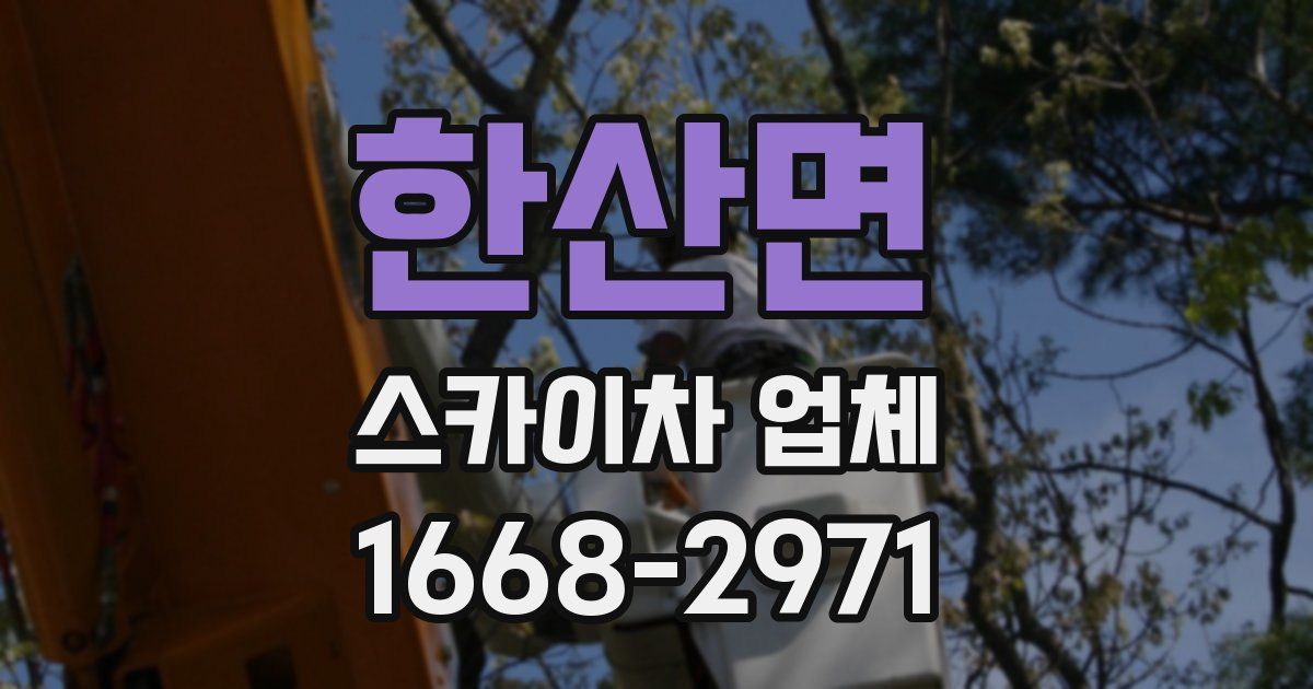 한산면 스카이차 업체