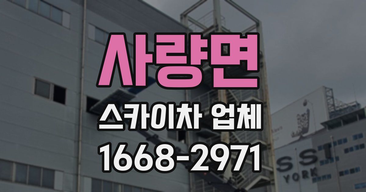 사량면 스카이차 업체