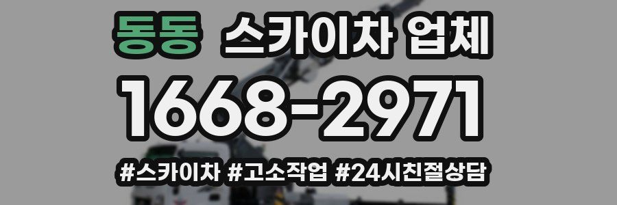 동동 스카이차 업체
