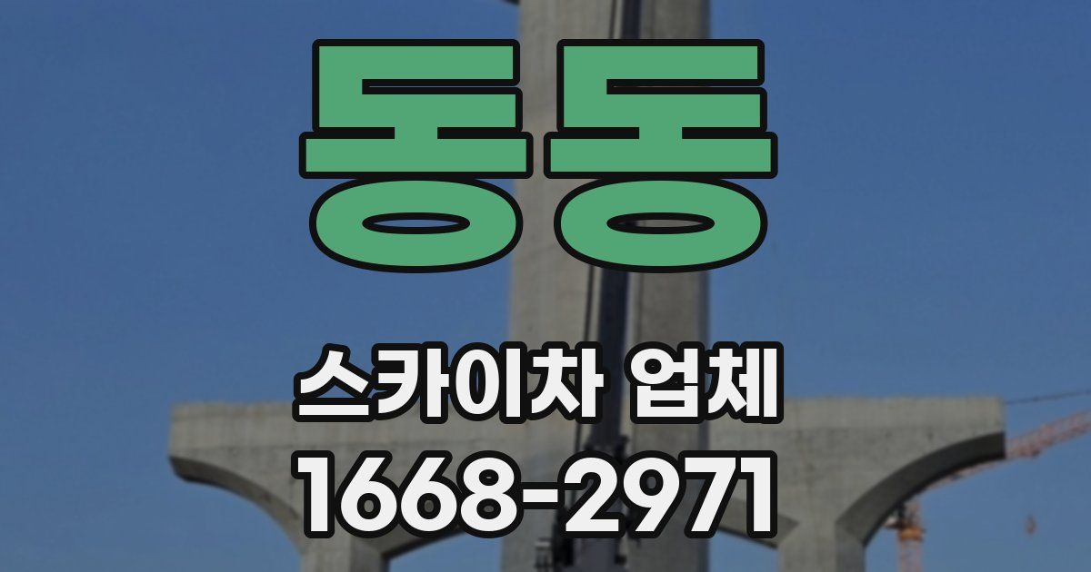 동동 스카이차 업체