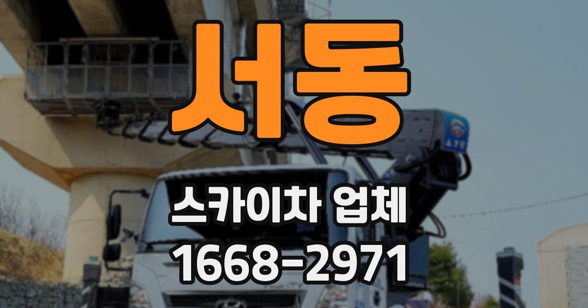 서동 스카이차 업체