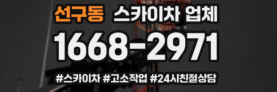 선구동 스카이차 업체
