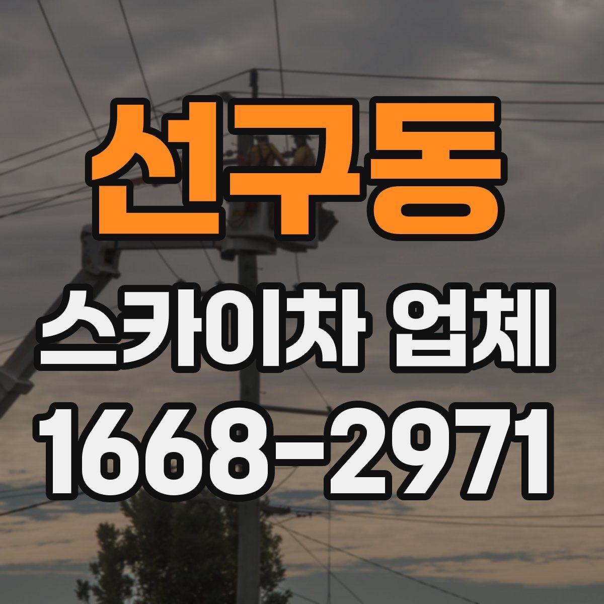 선구동 스카이차 업체