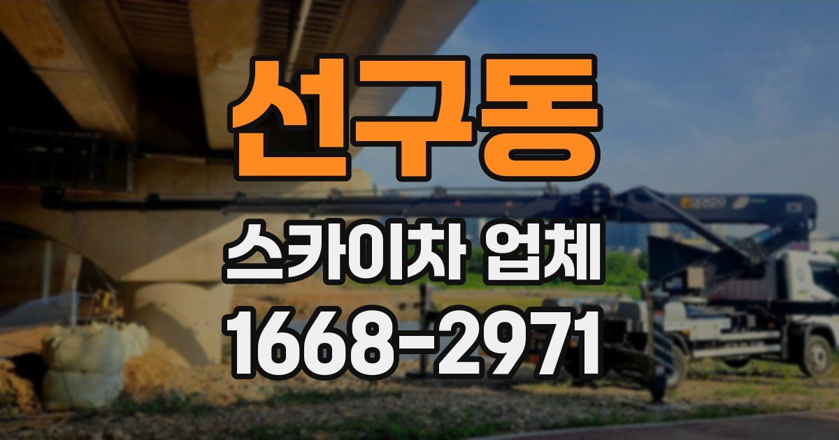 선구동 스카이차 업체