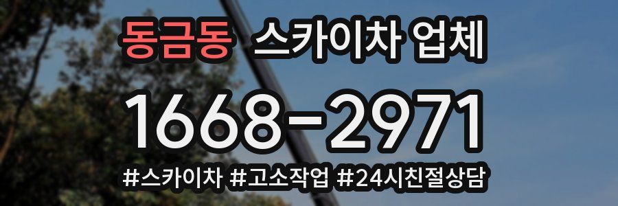 동금동 스카이차 업체