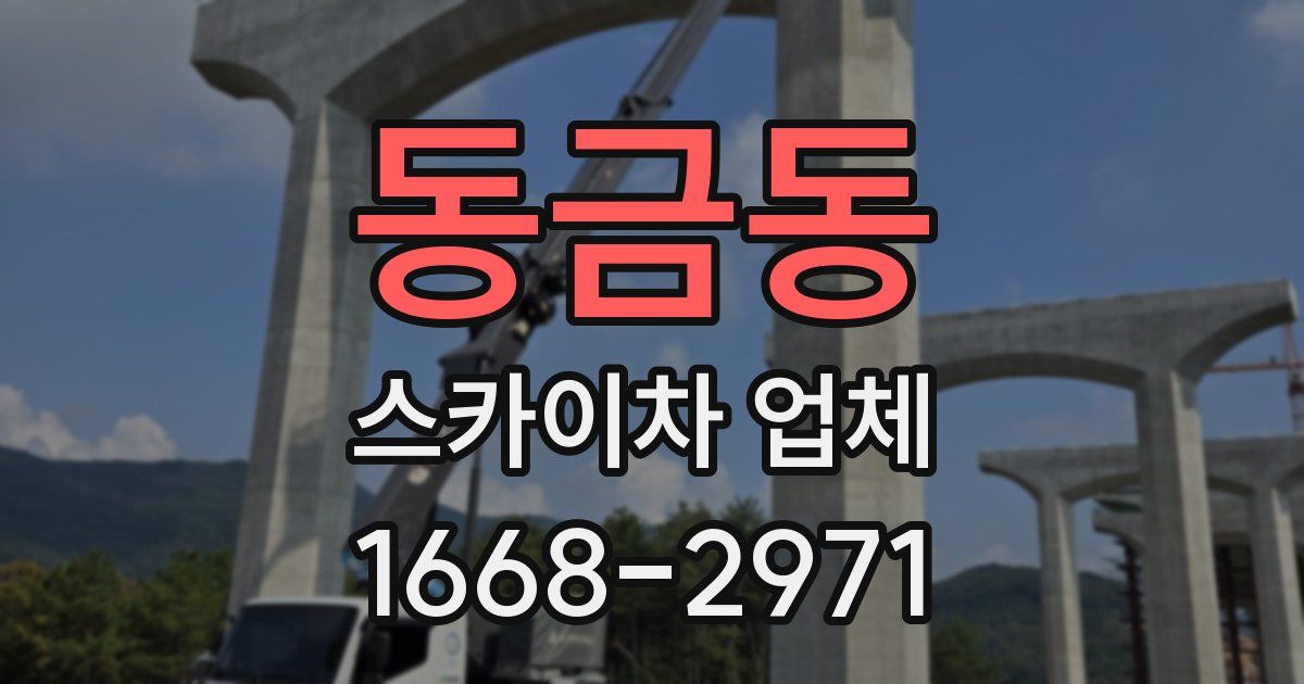 동금동 스카이차 업체