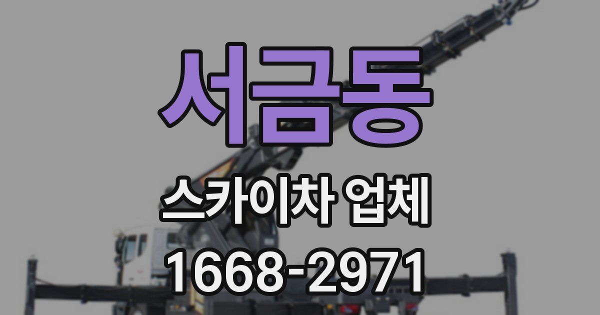 서금동 스카이차 업체