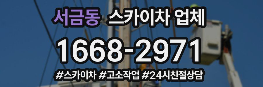 서금동 스카이차 업체