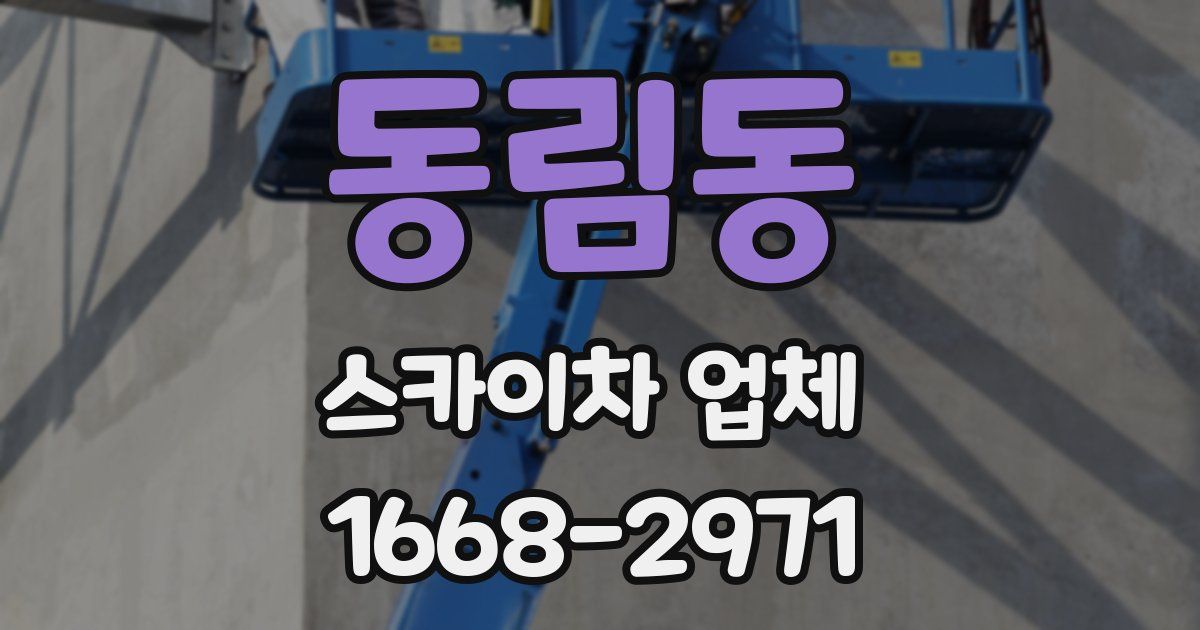 동림동 스카이차 업체