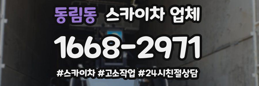 동림동 스카이차 업체