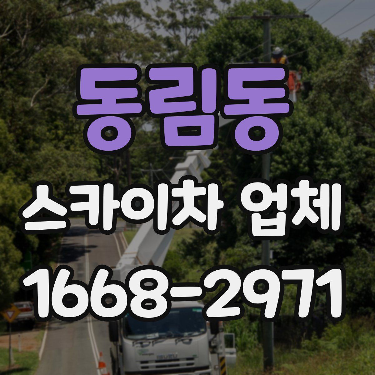 동림동 스카이차 업체