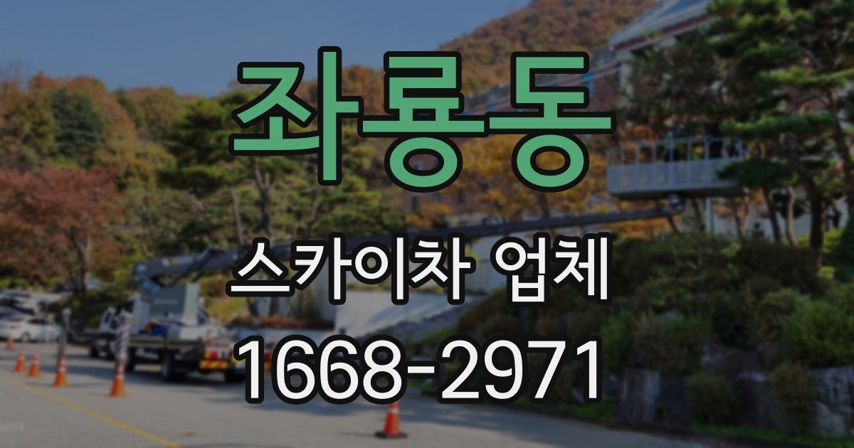 좌룡동 스카이차 업체