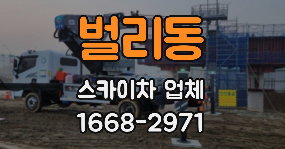 벌리동 스카이차 업체