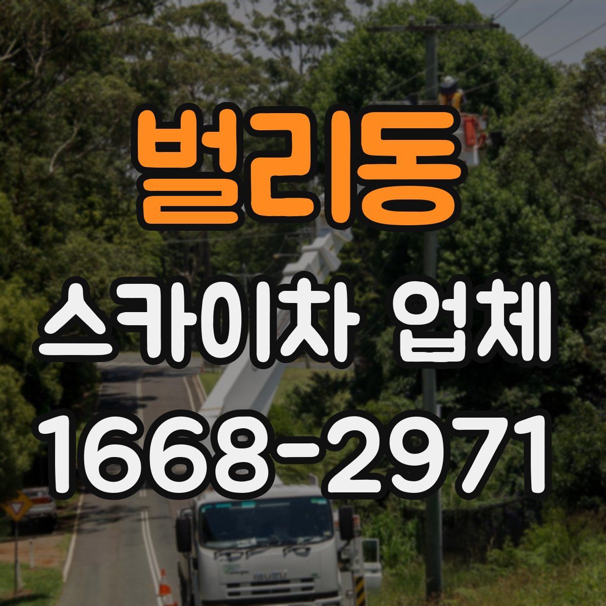 벌리동 스카이차 업체
