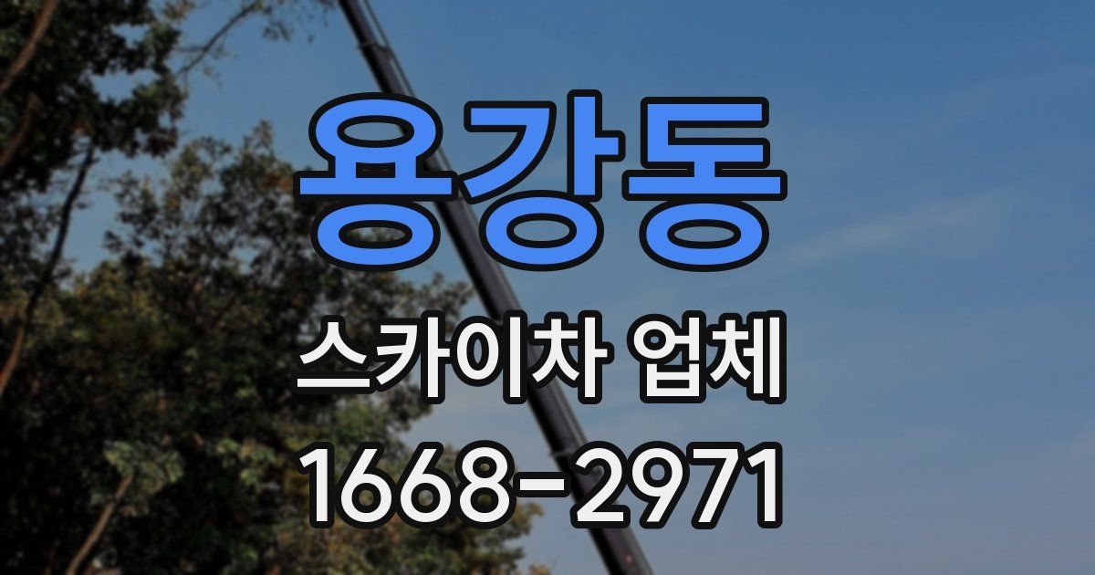 용강동 스카이차 업체