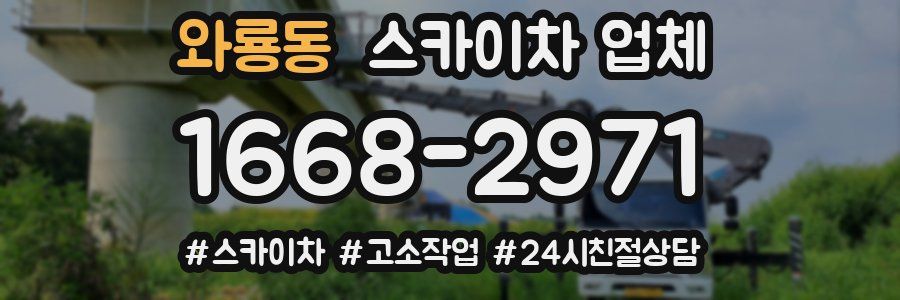와룡동 스카이차 업체