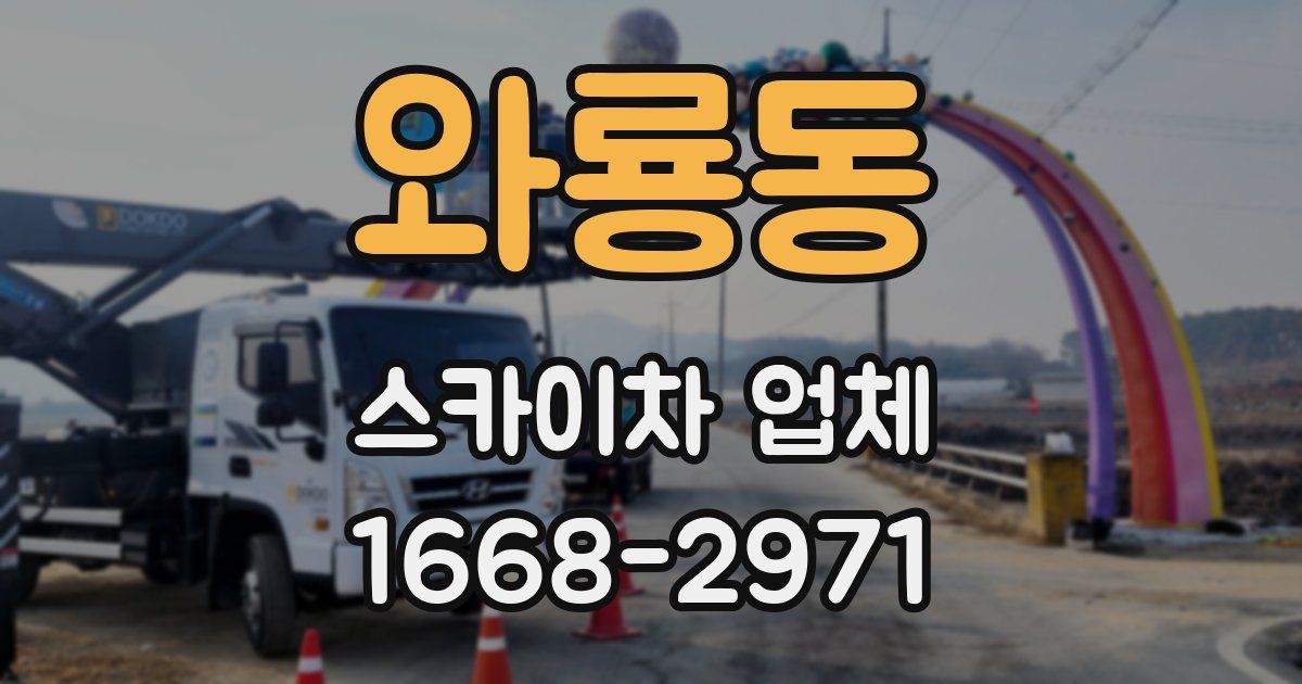 와룡동 스카이차 업체