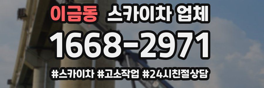 이금동 스카이차 업체