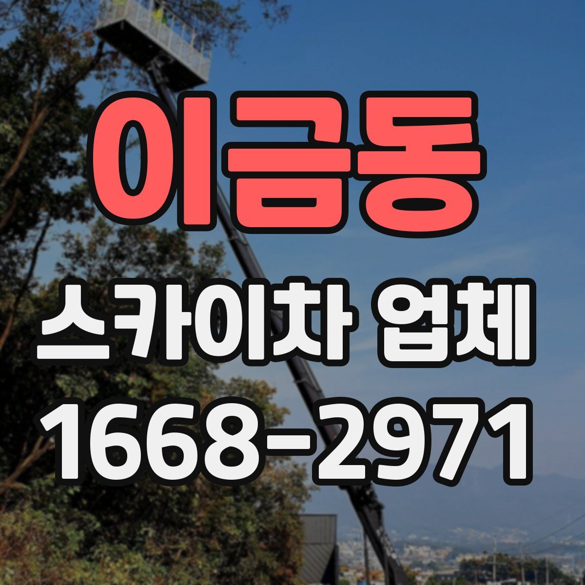 이금동 스카이차 업체